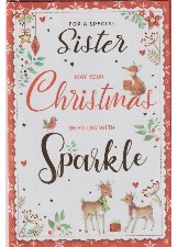 For A Special Sister